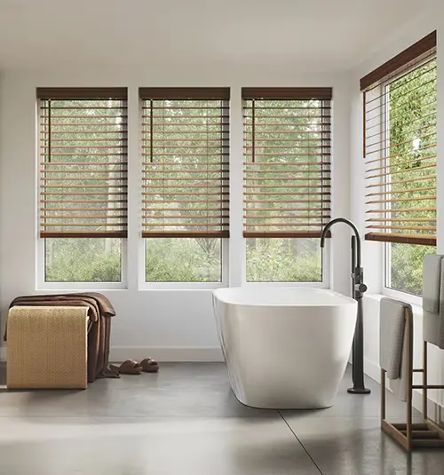 Bathroom window treatments